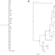 Illustration for article titled Geneticists Use Herpes to Confirm Ancient Human Migration Routes